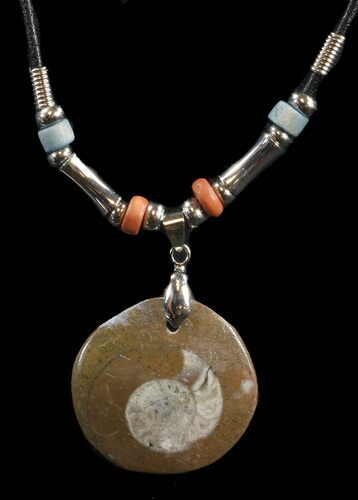 Polished Goniatite Fossil Necklace #43084